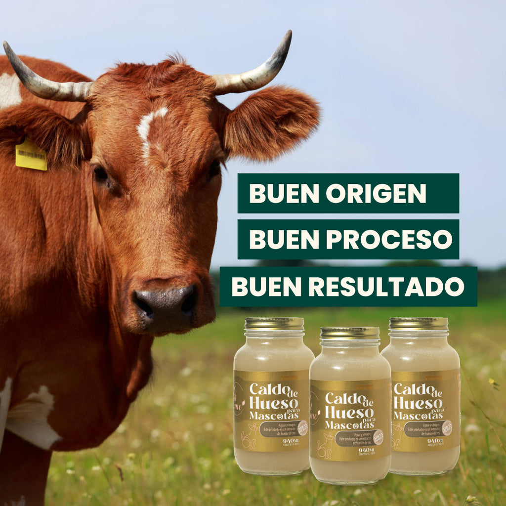 Caldos de hueso para mascotas