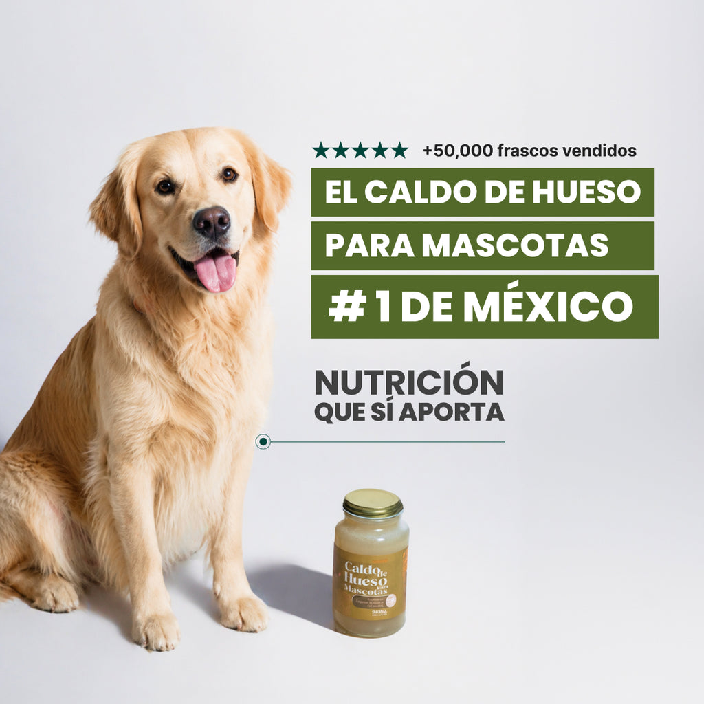 Caldos de hueso para mascotas