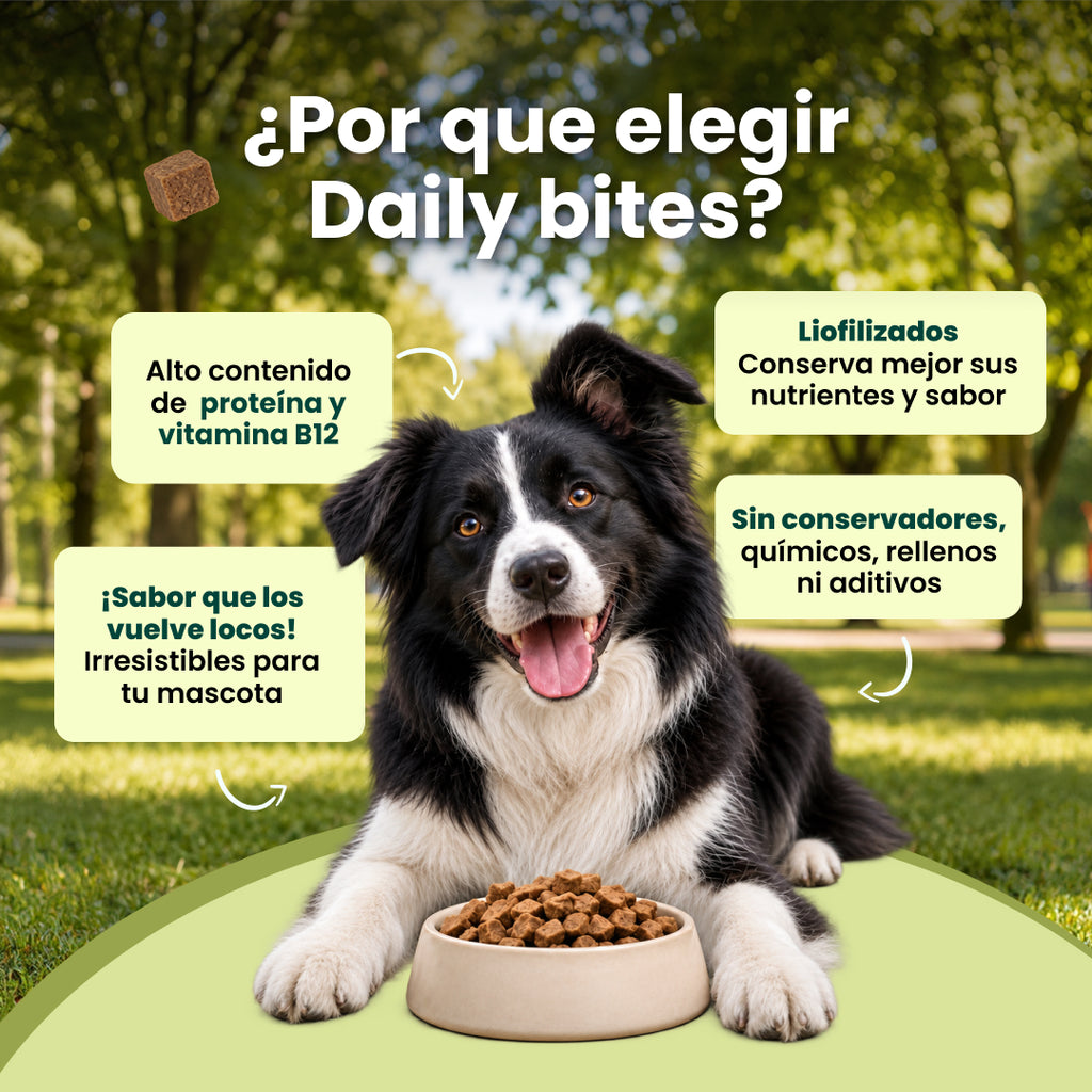 Dailybites Hígado y Corazón de Res Liofilizado | Snack Alto en Proteína y Hierro