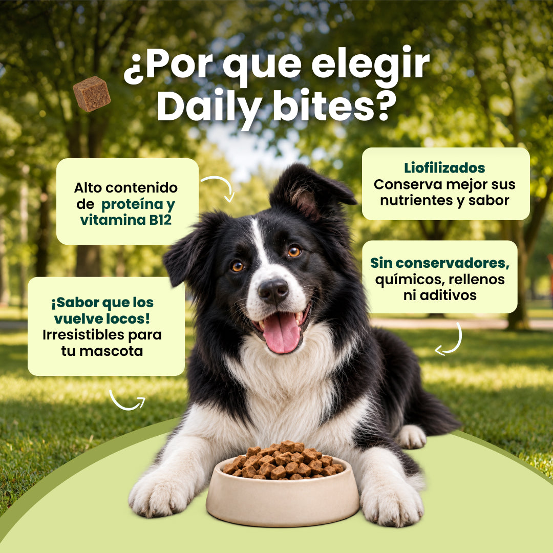 Dailybites Hígado y Corazón de Res Liofilizado | Snack Alto en Proteína y Hierro