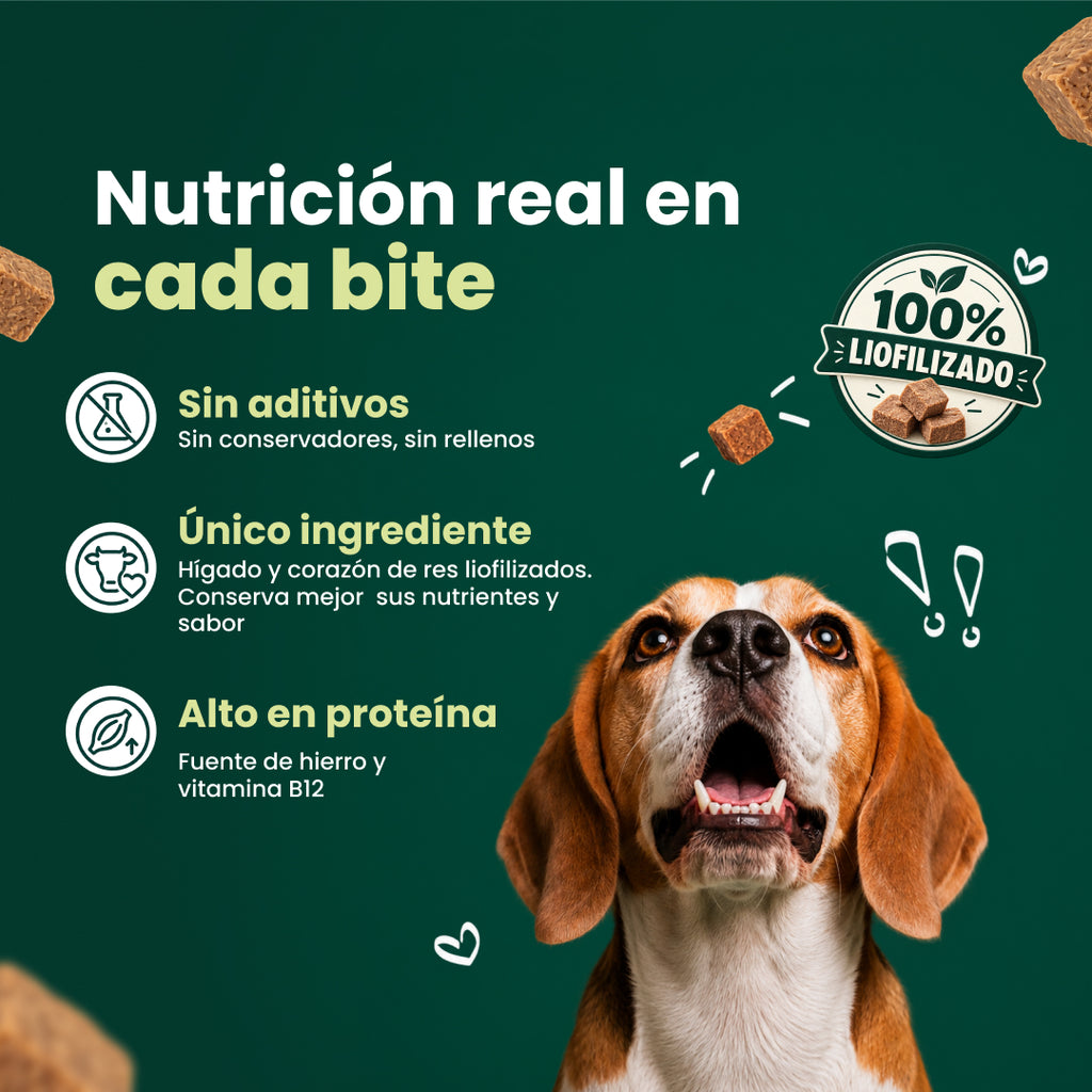 Dailybites Hígado y Corazón de Res Liofilizado | Snack Alto en Proteína y Hierro