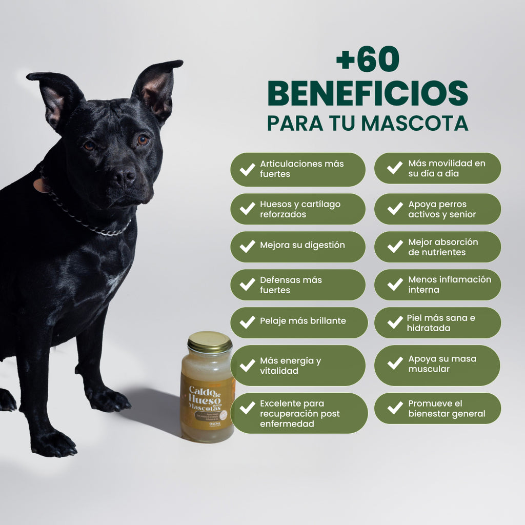 Caldos de hueso para mascotas