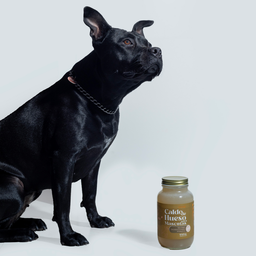 6 Caldos de hueso para mascotas